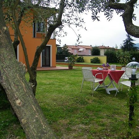 Triolivo B&B Лукка Екстер'єр фото