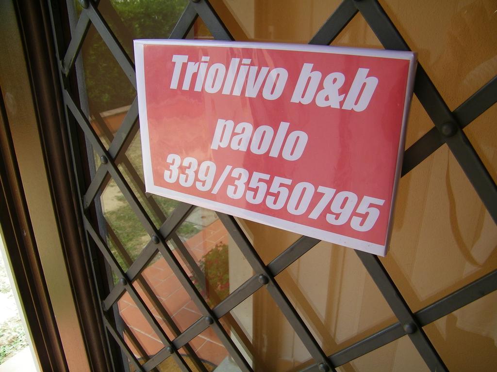 Triolivo B&B Лукка Екстер'єр фото